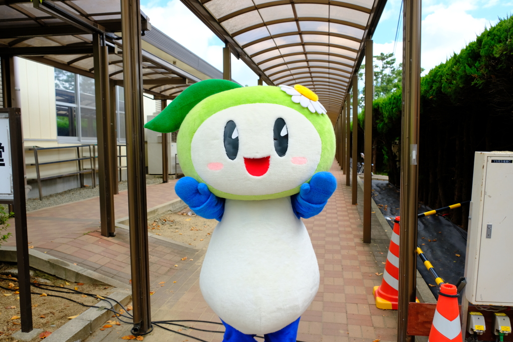 伊丹駐屯地祭り