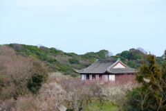 世界の梅公園