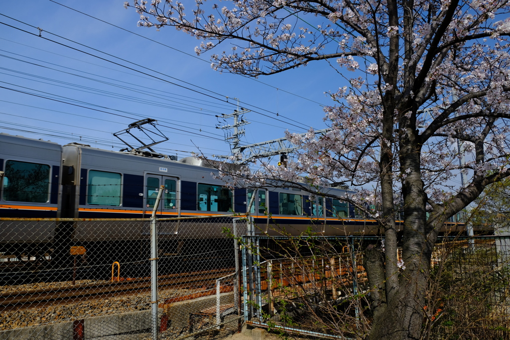 さくら夙川