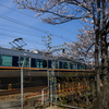さくら夙川