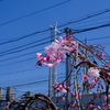 生田川公園