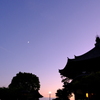 奈良燈花会