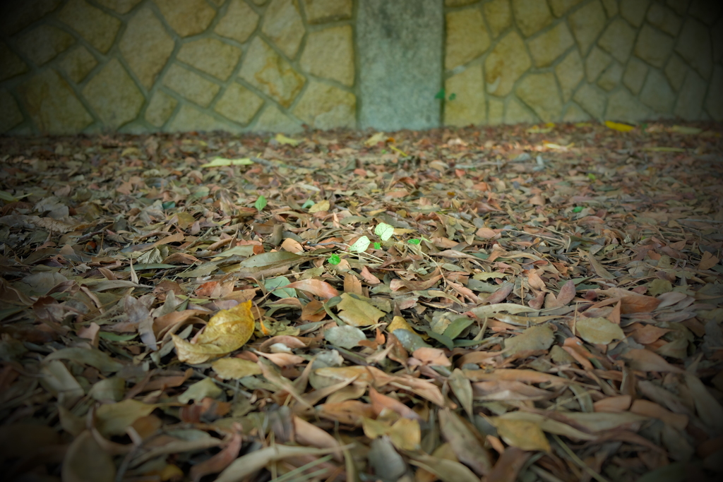 須磨離宮公園