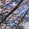 生田川公園