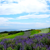 淡路