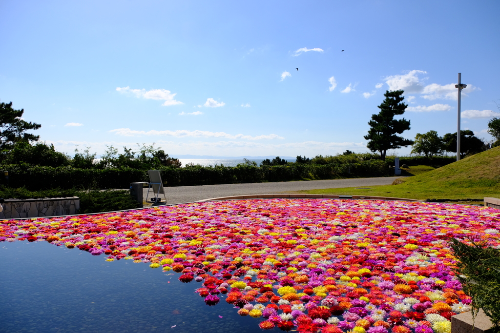 明石海峡公園