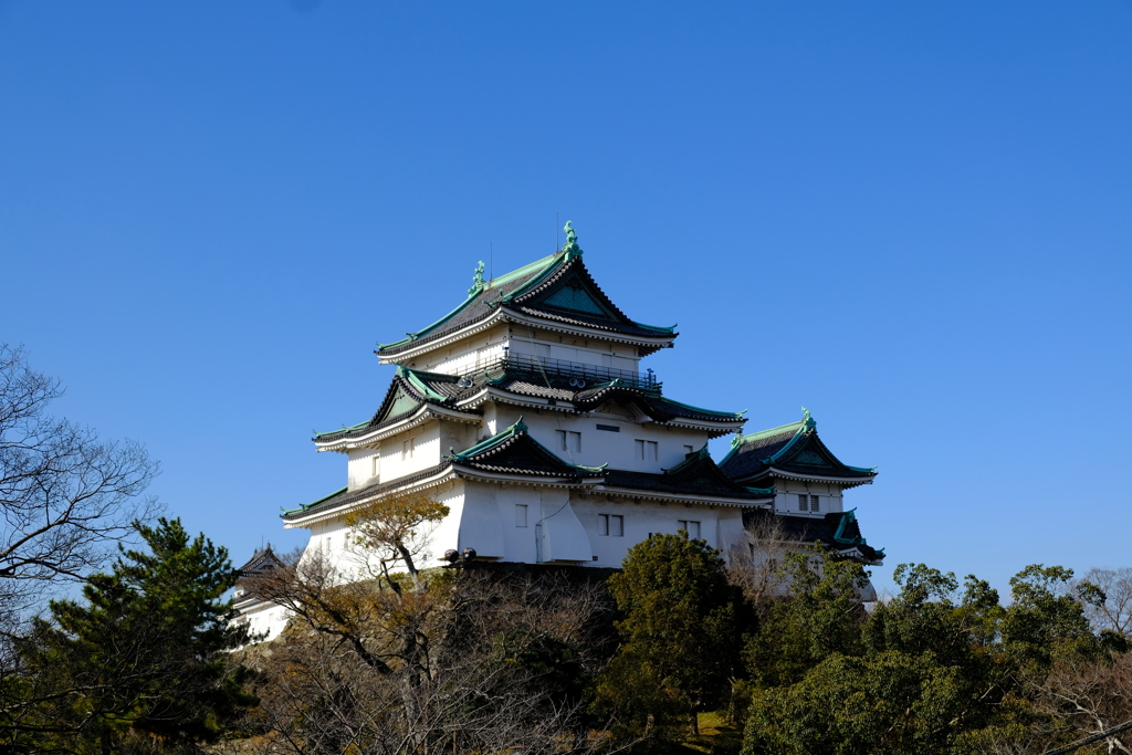 和歌山城