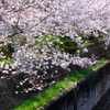 生田川公園