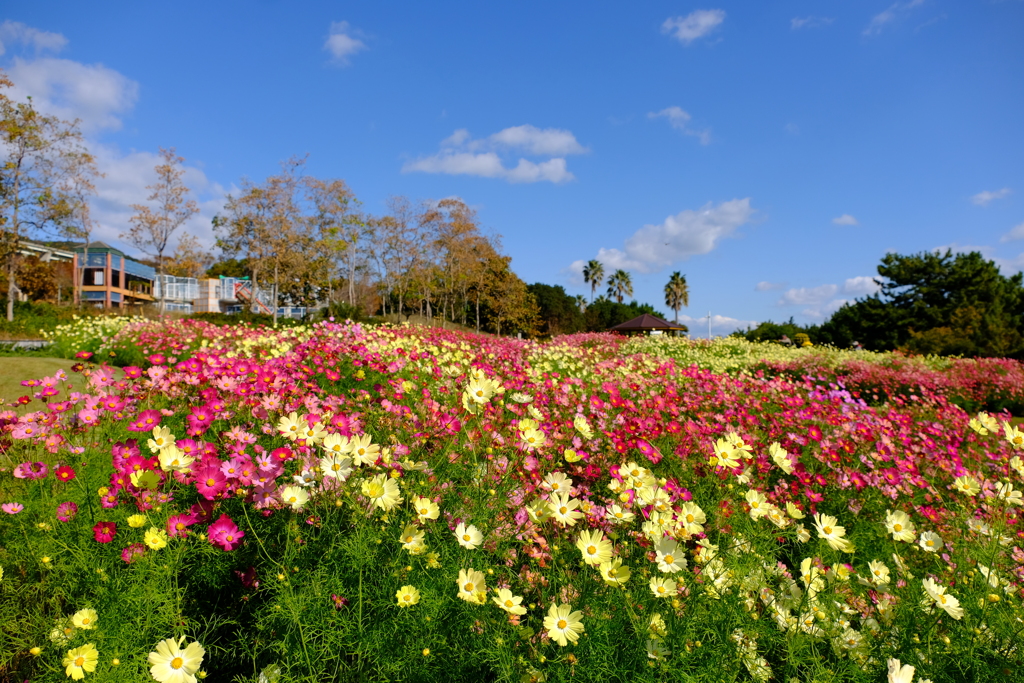 明石海峡公園