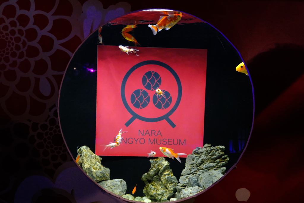 奈良金魚ミュージアム