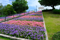 淡路