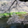 さくら夙川