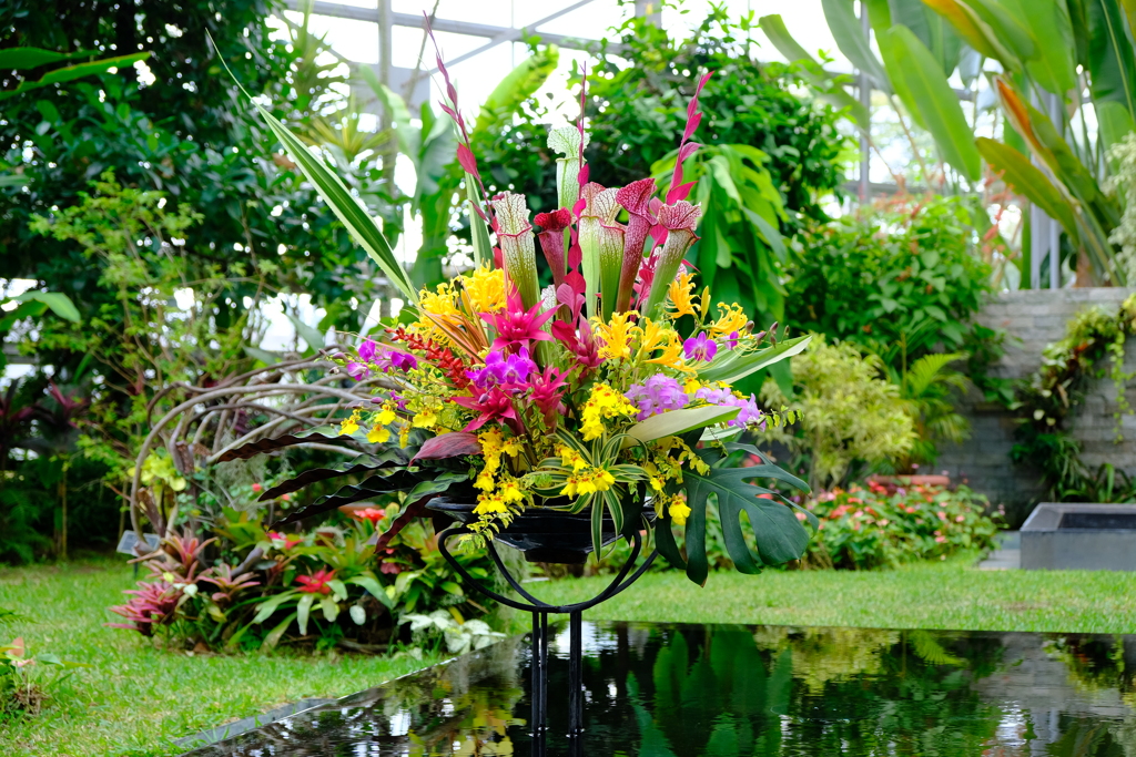 秋の花