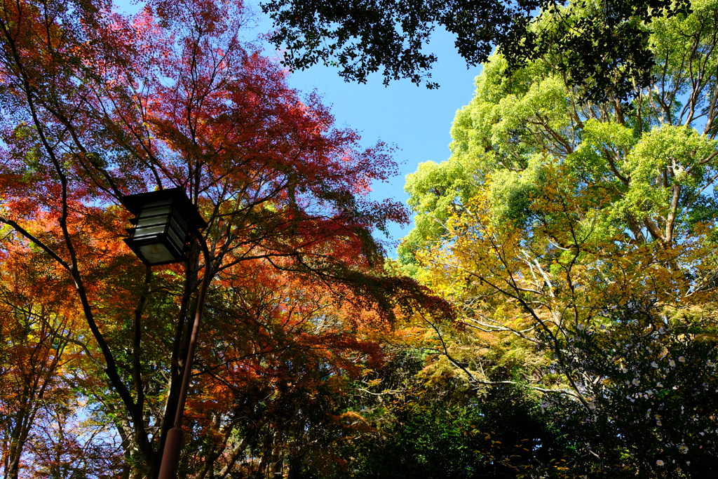 須磨離宮公園