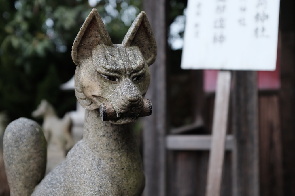 稲荷神社の狐