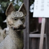 稲荷神社の狐