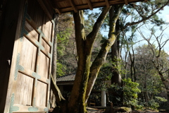 瑞宝寺公園の門より