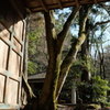 瑞宝寺公園の門より