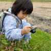 野の草花を撮る