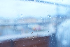 朝起きたら雨