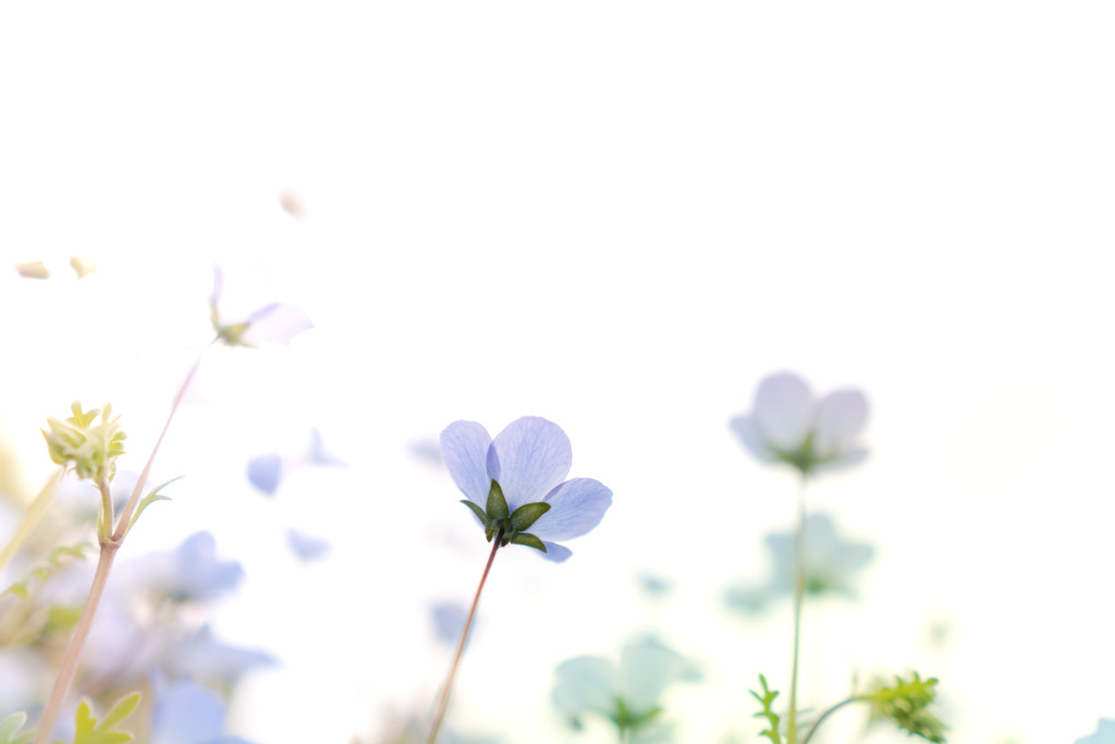 B3F79170-2060-4A39-8C20-06A949135ED5
