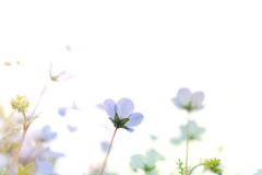 B3F79170-2060-4A39-8C20-06A949135ED5