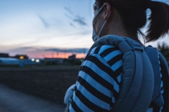 夕方の散歩