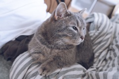 まっちゃん