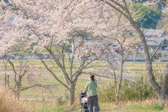 散歩