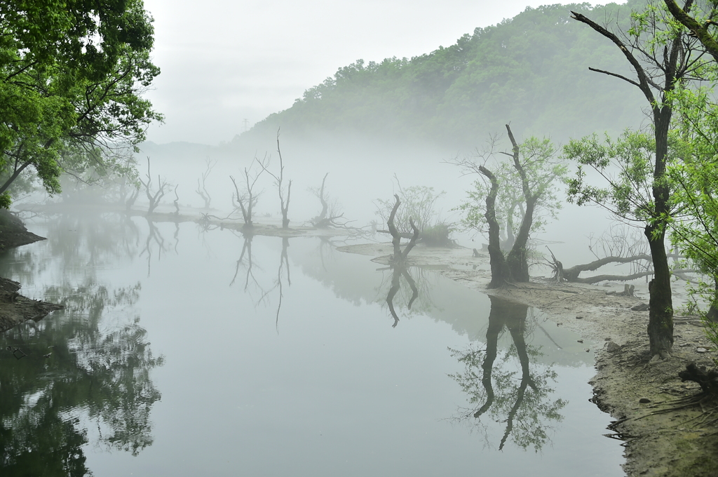 대청호로하스(20180506)0021