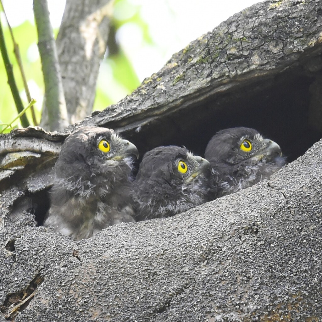 IMG_20190821_102851_975