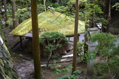 SDIM0050