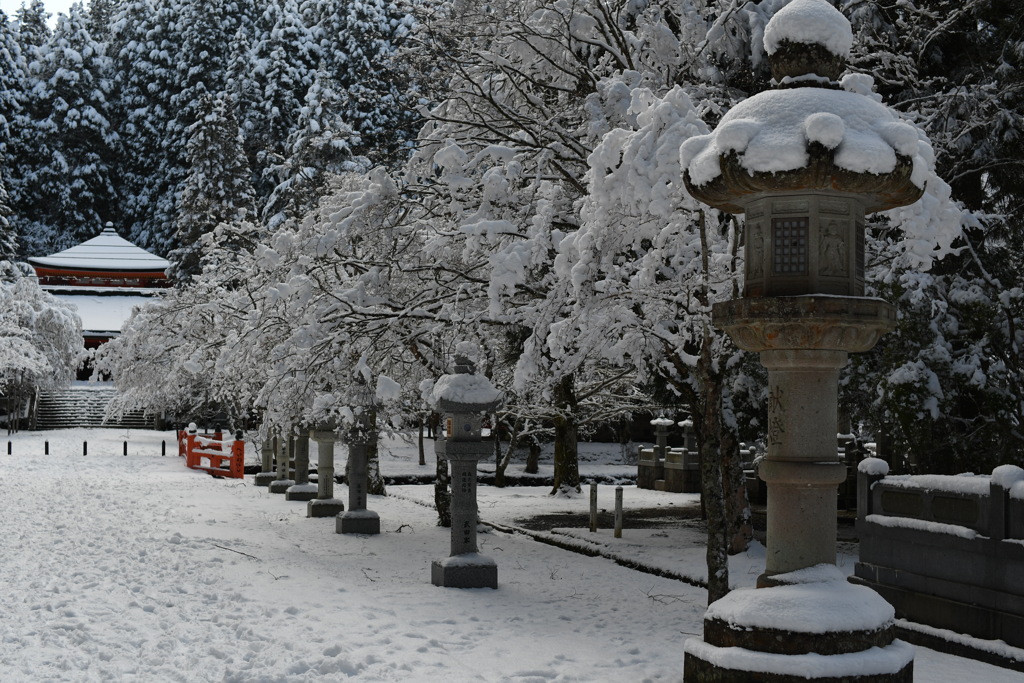 高野山