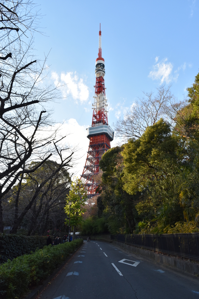 東京たわ