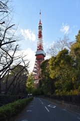 東京たわ