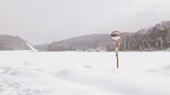 雪の日の鳥取県日南町印賀⑦