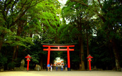 霧島神社②