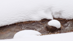 雪の日の鳥取県日南町印賀①