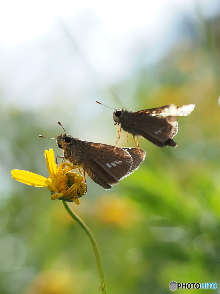 昆虫公園にて