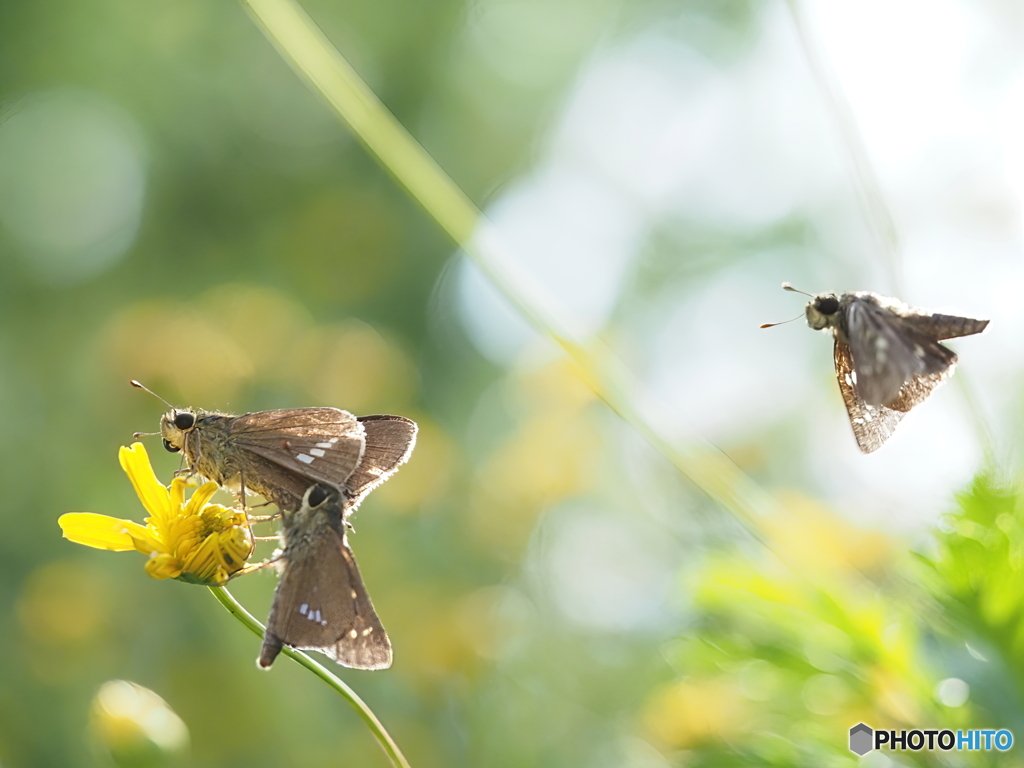 昆虫公園にて