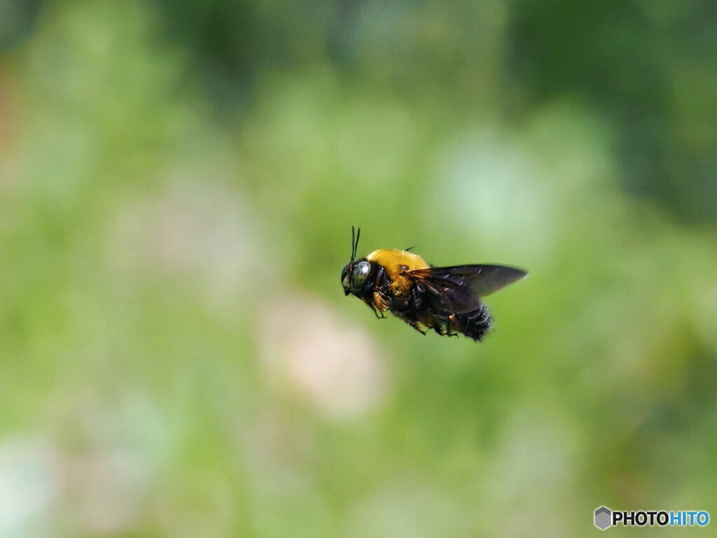 ホバリング中