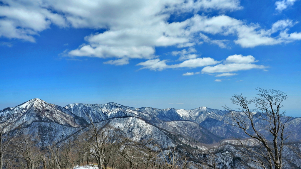 丹沢の雪景色