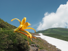 夏山