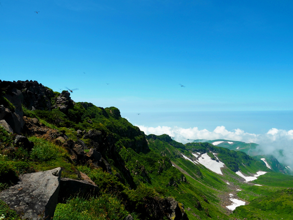 夏の鳥海外輪山