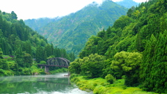 山林と鉄橋