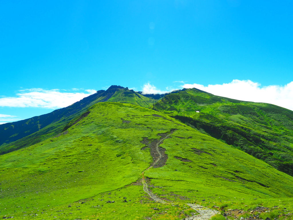 山頂へ続く道