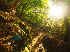 早朝の登山道