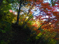 カラフルな道