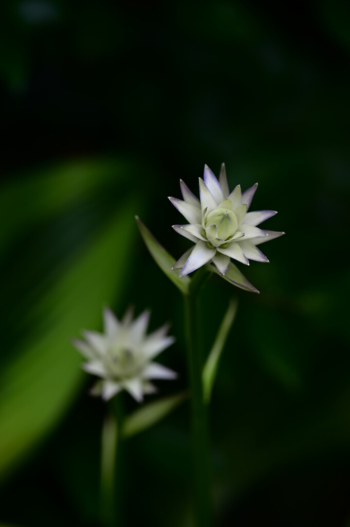 DSC_3148