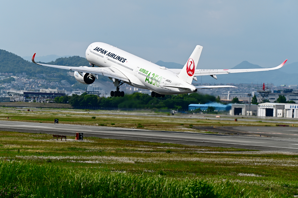 AIRBUS A350 green　②